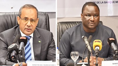 Dakar et Nouakchott renforcent leur partenariat dans la vallée du fleuve Sénégal
