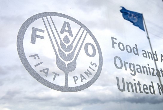 Kaédi : Journées de réflexion sur la zone d’El-Atf, défis, enjeux et opportunités - Communiqué de presse