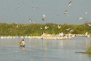 Célébration du 1er novembre au Diawling–PND/GIZ – une collaboration sans faille (Communiqué)