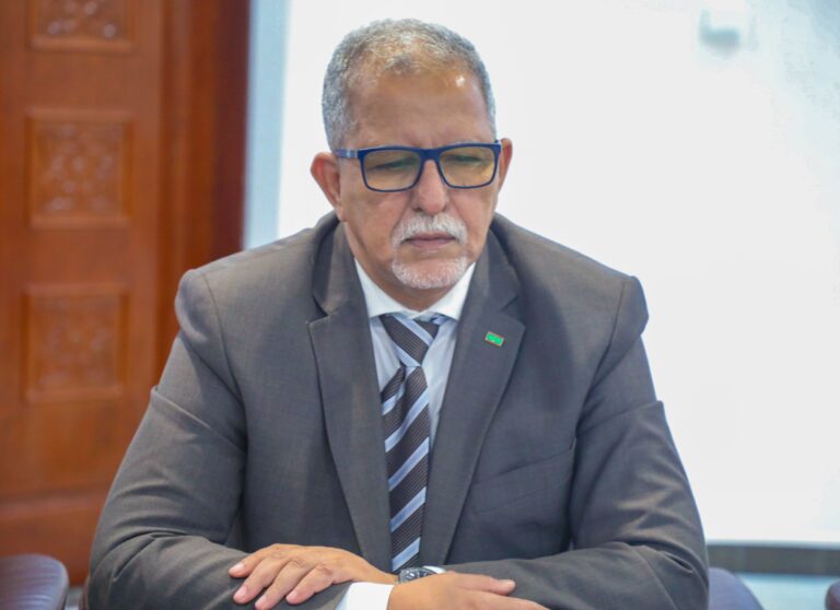 Le ministre mauritanien de l’Agriculture : la crise acridienne a gravement impacté la sécurité alimentaire en Mauritanie 