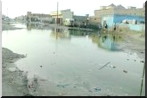 Les villes francophones au secours de la CUN 