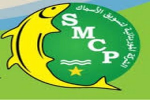 SMCP : Cycle infernal de la commercialisation