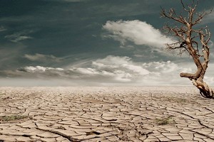 Afrique : le PAM signe une nouvelle police d'assurance contre les risques climatiques