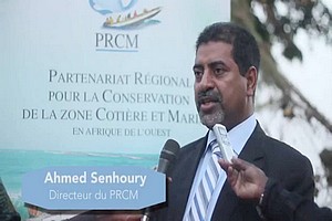 Près de 3,280 milliards de la MAVA pour la conservation des espèces marines