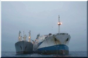 Mauritanie : l’océan livré au pillage chinois