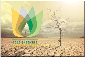  COP 21 : l’Afrique à la croisée des chemins 
