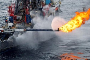 Des scientifiques établis expriment leur profonde préoccupation sur l'impact environnemental et social du projet Grande Tortue/Ahmeyim