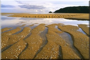 Plus de 150 mm de pluie dans la wilaya du Guidimakha 