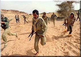  Maghreb : De plus en plus de jeunes du Polisario rejoignent les terroristes au Mali, Alger...