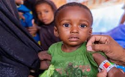 Mauritanie : le Japon finance un programme humanitaire de 673 000 dollars pour soutenir les réfugiés du Hodh El Chargui