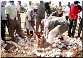 Nord-Mali: des islamistes tuent un couple non marié par lapidation