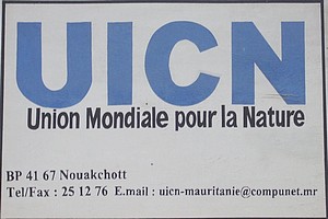 L'IUCN recrute (Anglais)