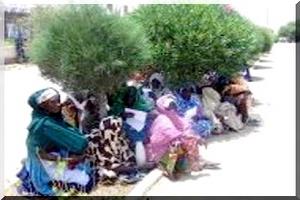 Mendiants de   Nouakchott : « L’art de susciter la pitié… »