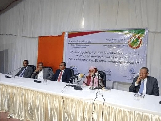 La ministre de l’environnement : « la Mauritanie a déversé dans les océans en une année plus de 17 millions de tonnes de déchets plastiques »