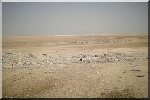 VIDEO. Les Citoyens et leurs ordures: quelles responsabilités ?