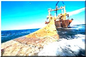 Nouadhibou : Ouverture du procès opposant Poly-Hondong à 16 pêcheurs