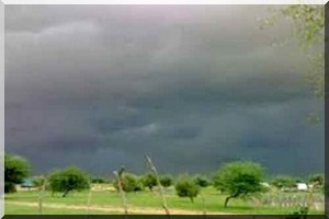 Pluviométrie : plus de 133 mm dans une localité du Gorgol 