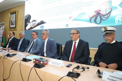 Le ministre de la Pêche : l’exploitation du poulpe restera l’apanage des Mauritaniens
